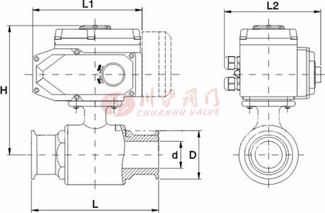 電動(dòng)衛(wèi)生級球閥結(jié)構(gòu)圖