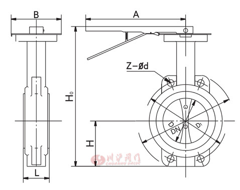 D71X_鑄鐵對夾蝶閥_結構圖